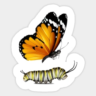 Butterfly and  caterpillar Sticker